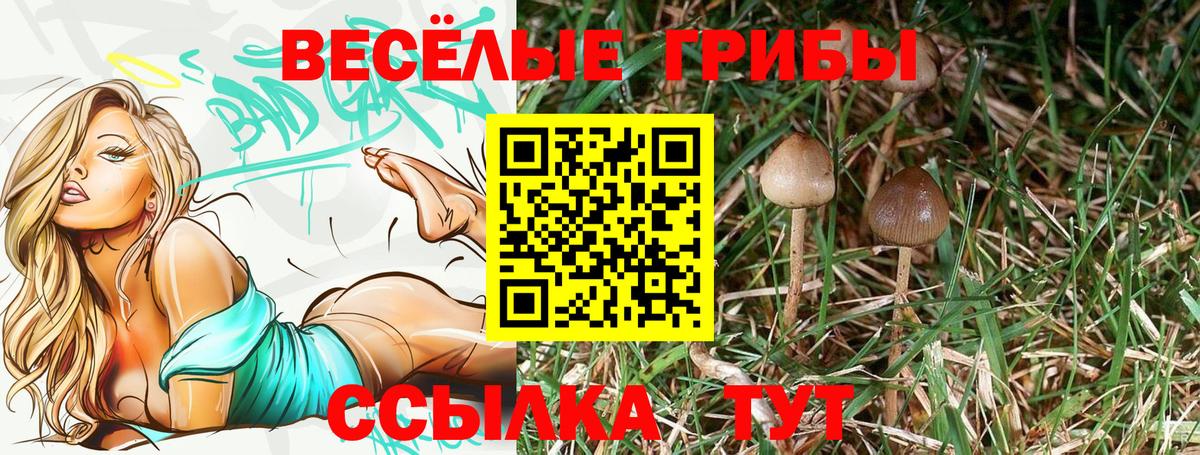 Топки  Псилоцибиновые грибы MAGIC MUSHROOMS  Галлюциногенные грибы GOLDEN TEACHER  Вход с VPN 